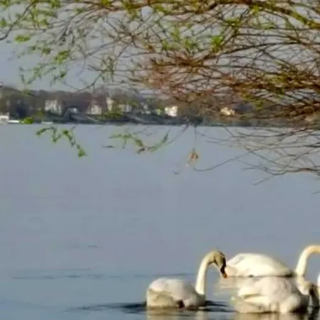Ruthmann-rheinblick