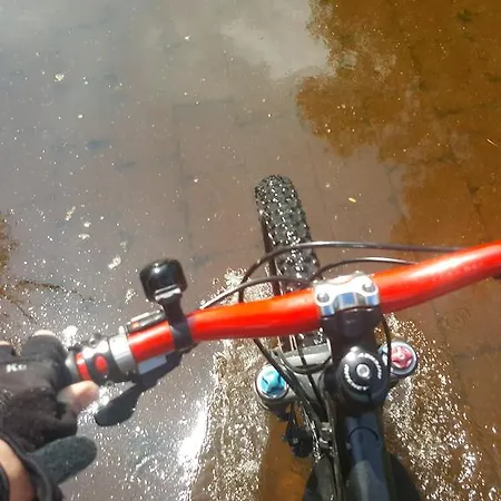 Ruthmann-rheinblick Garni Ξενοδοχείο