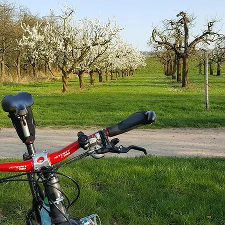 Ξενοδοχείο Ruthmann-rheinblick Garni 2*