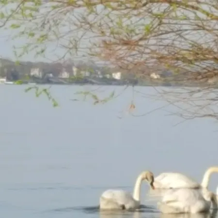 Ruthmann-rheinblick Garni Ξενοδοχείο