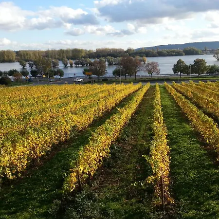 Ruthmann-rheinblick Garni 2*