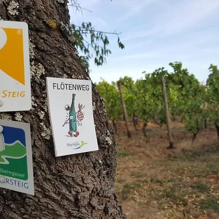 Ruthmann-rheinblick Garni Ξενοδοχείο 2*