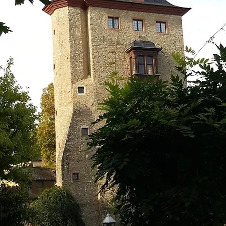 ホテル B＆b ルットマン ラインブリック エーストリッヒ・ヴィンケル