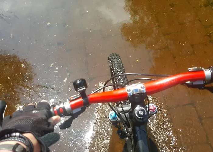 Ruthmann-rheinblick Garni Hotel