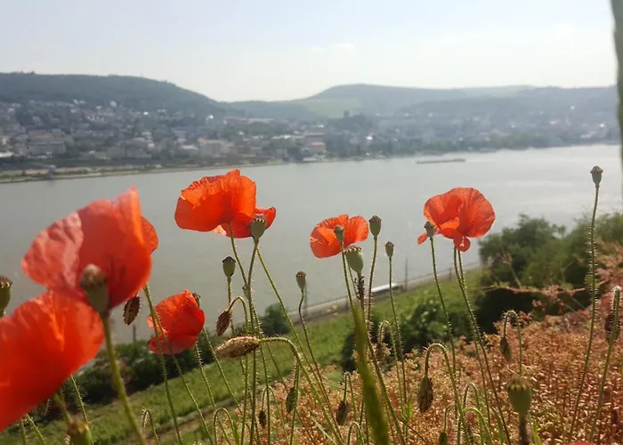 Hotel Ruthmann-rheinblick Garni 2*