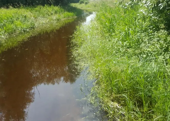 Ruthmann-rheinblick Garni 2*