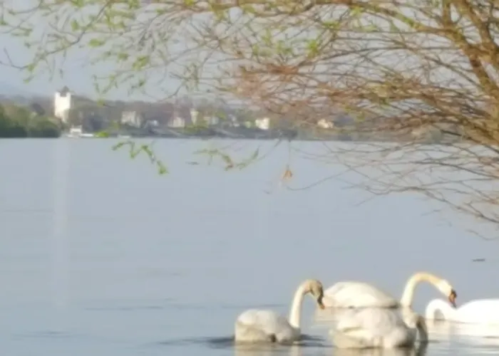 Ruthmann-rheinblick Garni Hotel