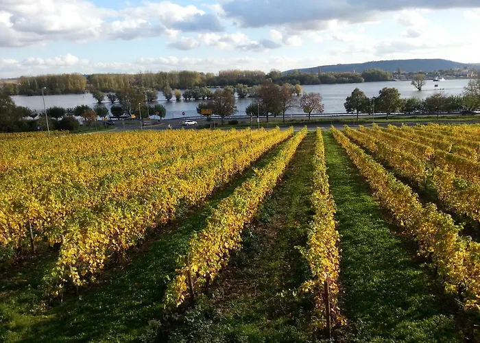 Ruthmann-rheinblick Garni 2*