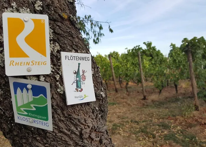 Ruthmann-rheinblick Garni Hotel 2*