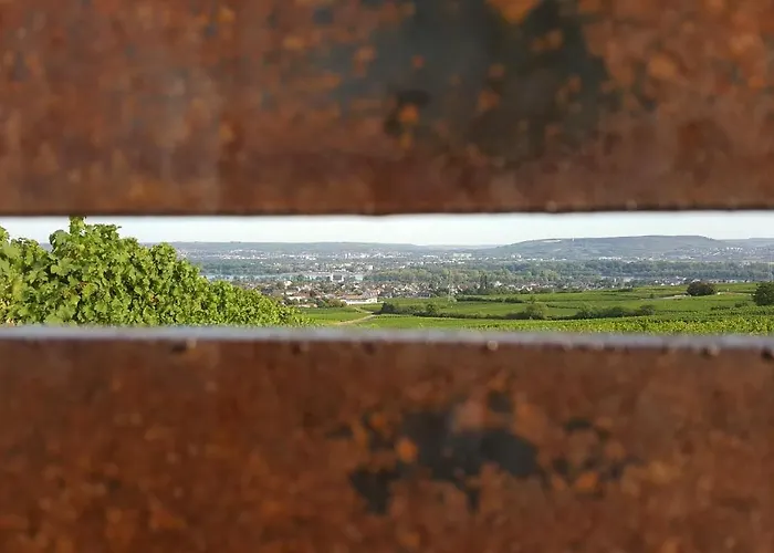 Hotel Ruthmann-rheinblick Garni 2*